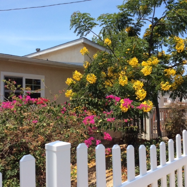 Photo - 2077 Thomas Ave Townhome