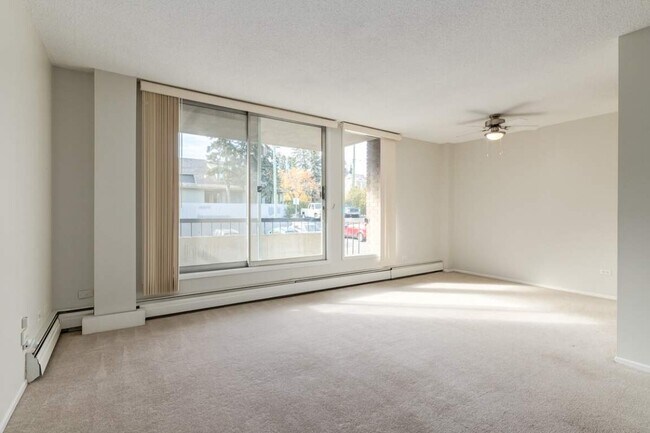 Photo - Forest Hills