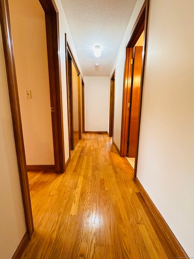 Photo - 61 Sandy Brook Dr
