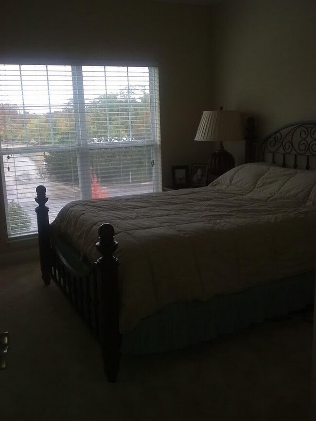 Photo - 2602 McKnight Crossing Ct