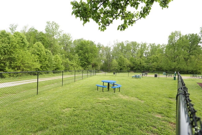 Dog Park - Bridgepointe Crossing
