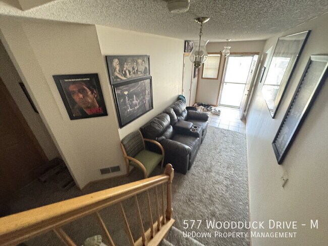 577 Woodduck Dr