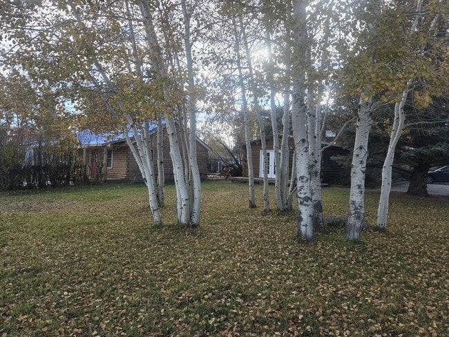 Photo - 206 S Sublette Ave