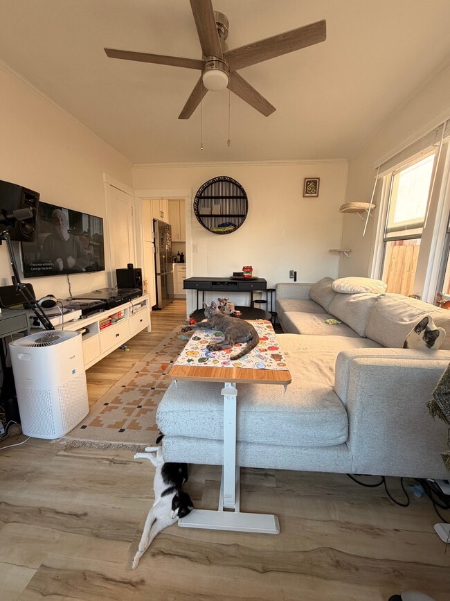 Photo - 728 Ormond Ct