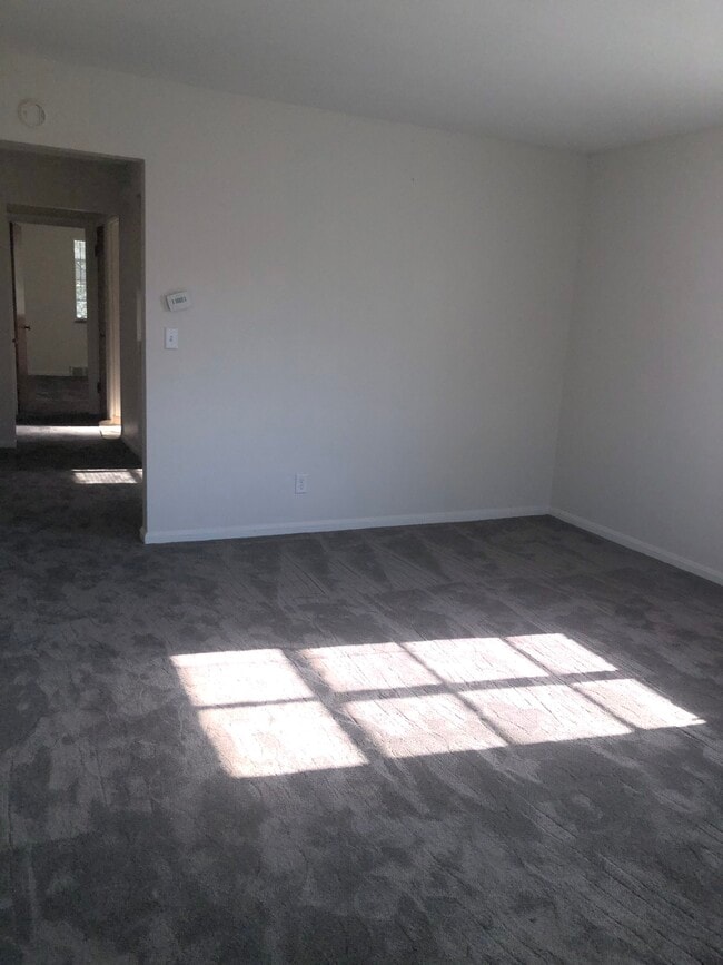 Living room - 224 Ridgeway Ave Unit 4