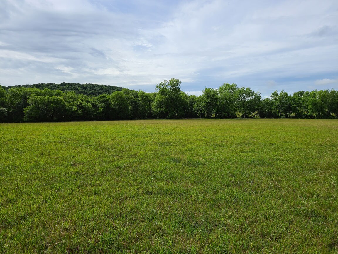 Photo - 465815 OK-51