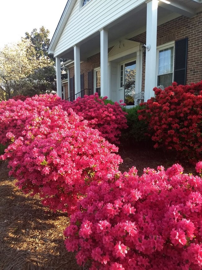 Photo - Beautiful 5 Bedroom 3 Bathroom House on Country Club Golf Course!