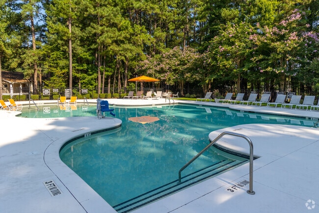 Resort Style Swimming Pool