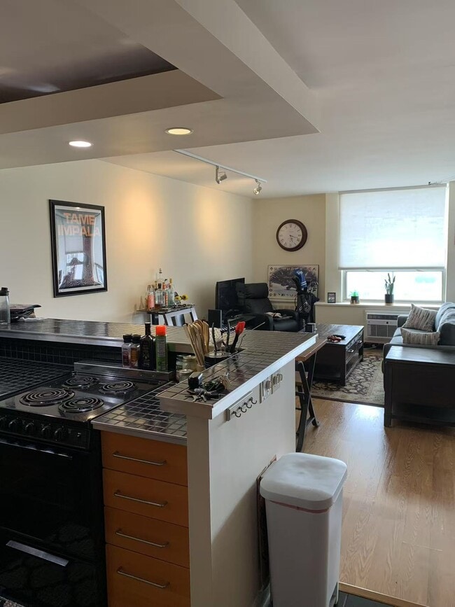 Photo - 1455 N Sandburg Terrace Unit 1503B