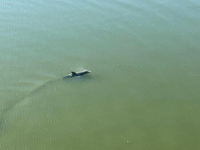 Photo - 8800 Bay Pines Blvd Unit 320