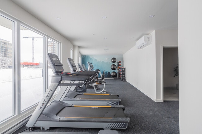 Photo - Project Loumii