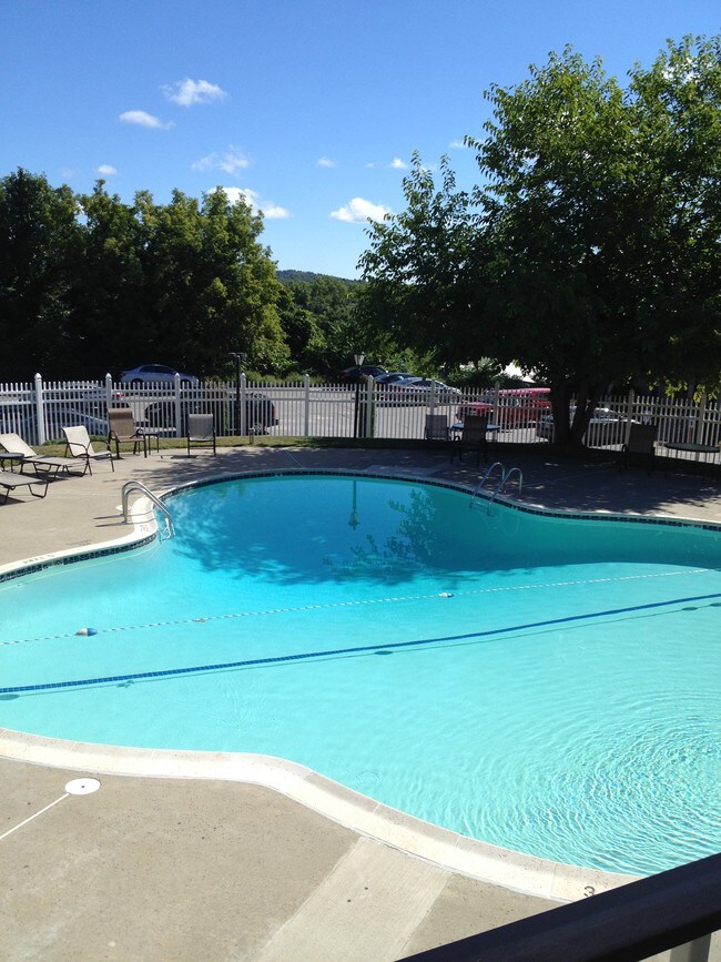 Photo - Hilltop Garden