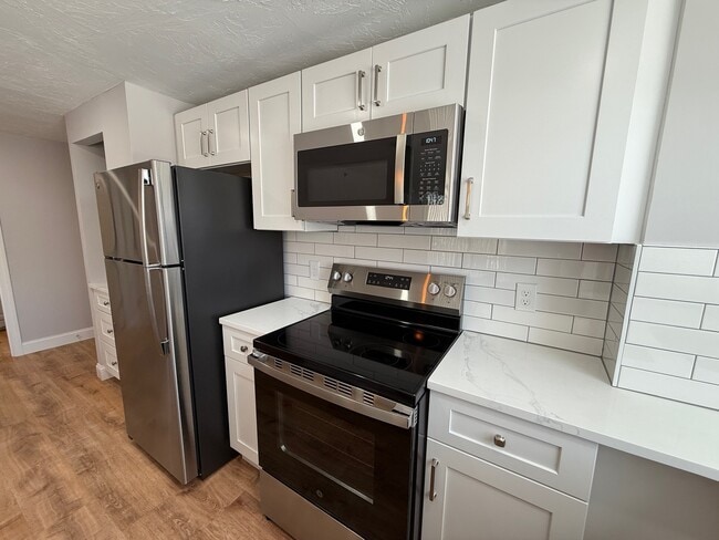 Stainless appliances and quartz counters