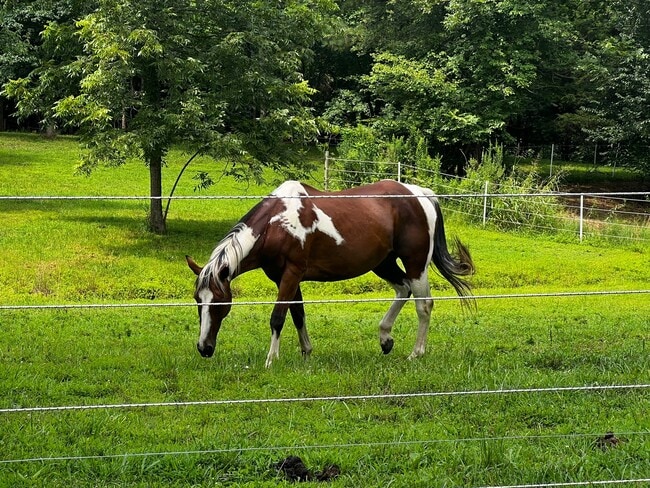 Building Photo - 181 Benton St