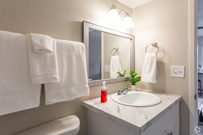 Studio, 1BA - 335 SF