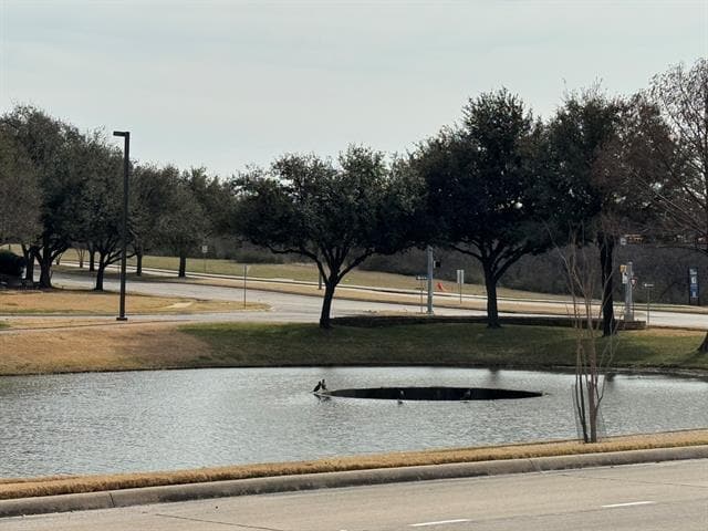 Photo - 6435 Las Colinas Blvd