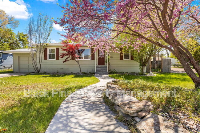 Photo - 221 W Elm St House