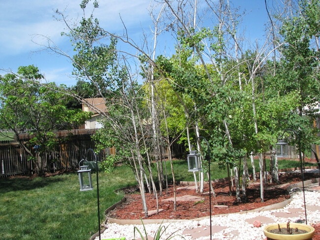 Photo - Stunning 3 Bedroom/ 3 Bath Home With Large Backyard!