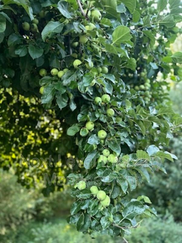 Photo - 2115 U.S. Hwy 2 E