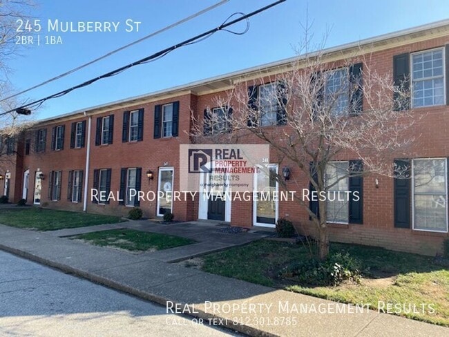 Photo - 245 Mulberry St