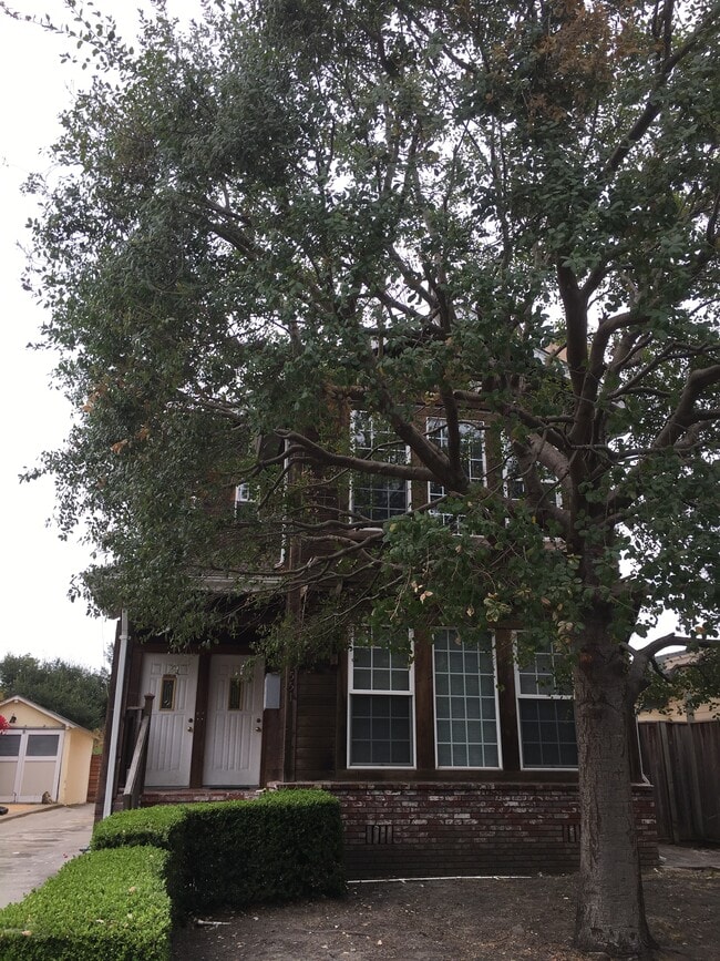 Front view - 551 59th St Unit #B