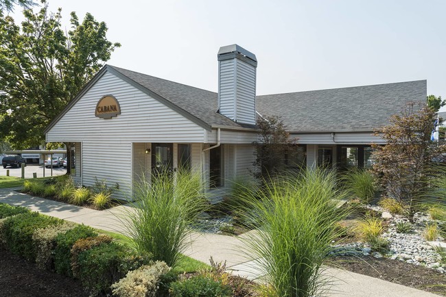 Photo - Hilltop in the Highlands