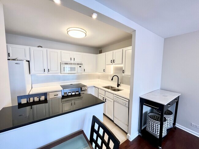 Photo - 100 E Walton Pl Unit 14A