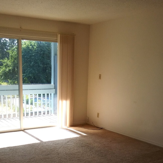 Photo - College Manor