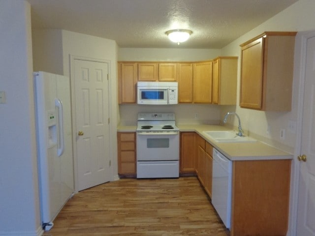 Photo - 651 Saddlebrook Dr House