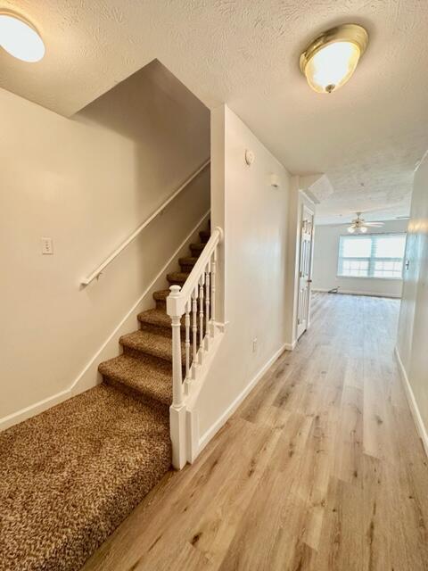 Photo - 209 Swaying Pine Ct