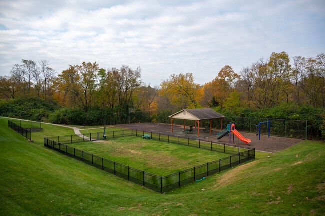 Dog Park