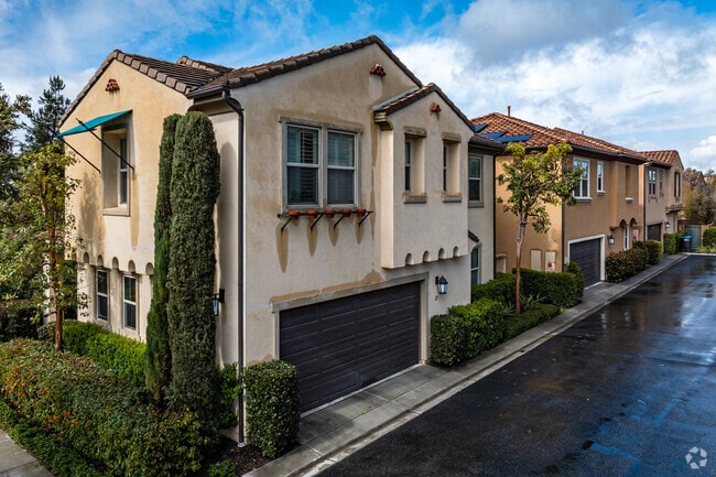 48 Cactus Bloom - Vientos