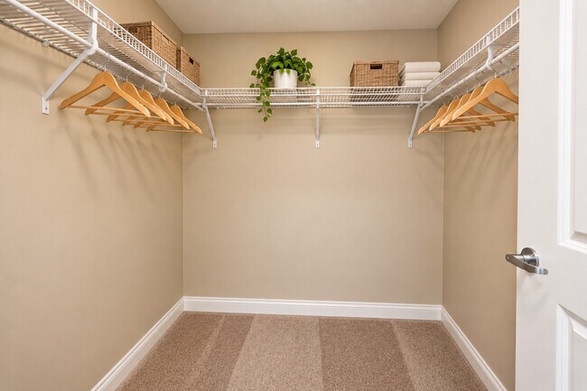 Maximize your storage potential in these spacious and thoughtfully designed closets at The Pointe. Enjoy organization and style with ample shelving and hanging space. Ready to upgrade your living experience? Schedule a tour today!