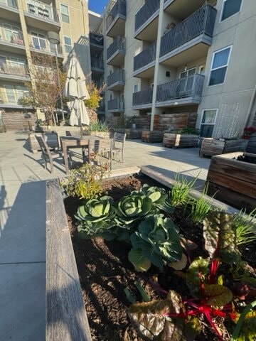 Japantown Senior Apartments