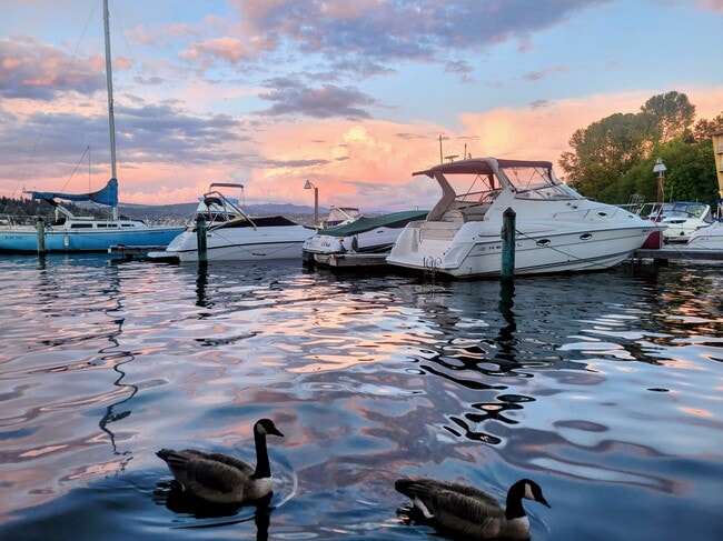 Building Photo - 9500 Rainier Ave S Unit 309