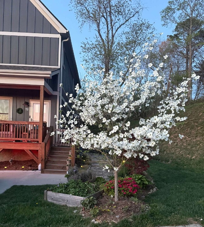 Photo - 72 Wheeler Rd
