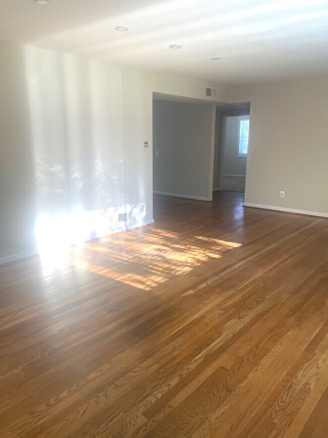 Photo - The Jennifer at Adelphi