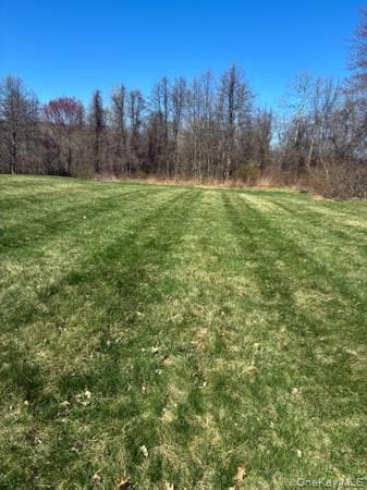 Photo - 95 Lexington Dr