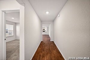 Photo - 15446 Shortwing