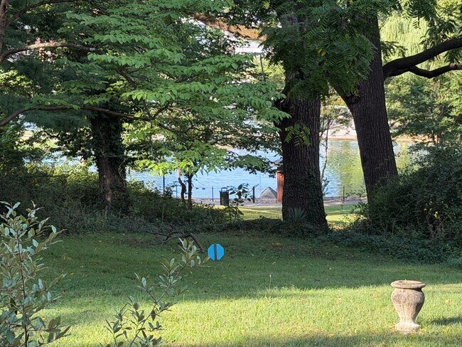 Photo - Cottage at Spring Lake!