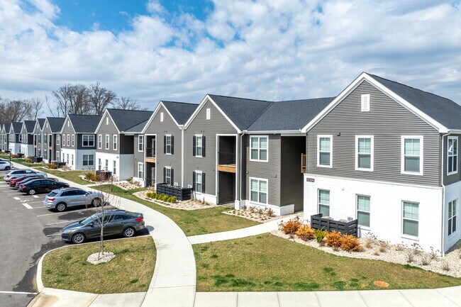 Photo - Hamilton Woods