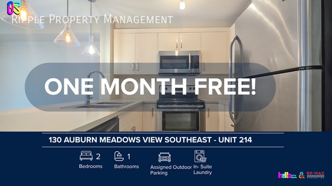 Building Photo - Modern 2 Beds, 1 Baths Apartment/Condo | No Pets Allowed | FIRST MONTH FREE IF MOVE-IN BY OCT 1/25 Unit 214