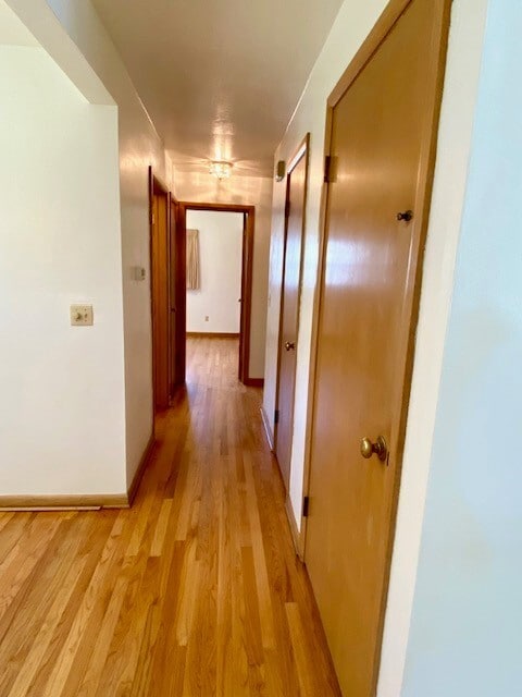 Pasillo - 310 Eugenia Ave