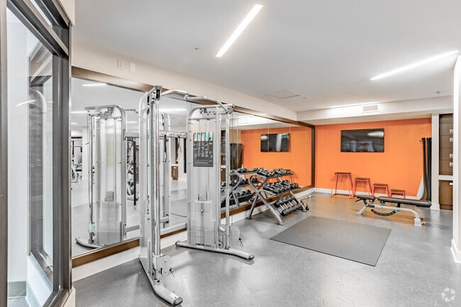 Gimnasio