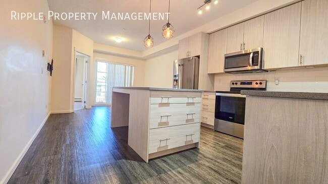 Modern 2 Beds, 2 Baths Apartment/Condo | Pets Allowed