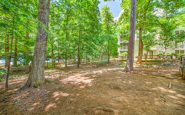 MAA Duke Forest