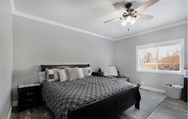 Photo - 304 Palomino Dr Unidad House
