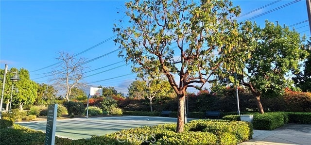 Photo - 15549 Jasmine Pl