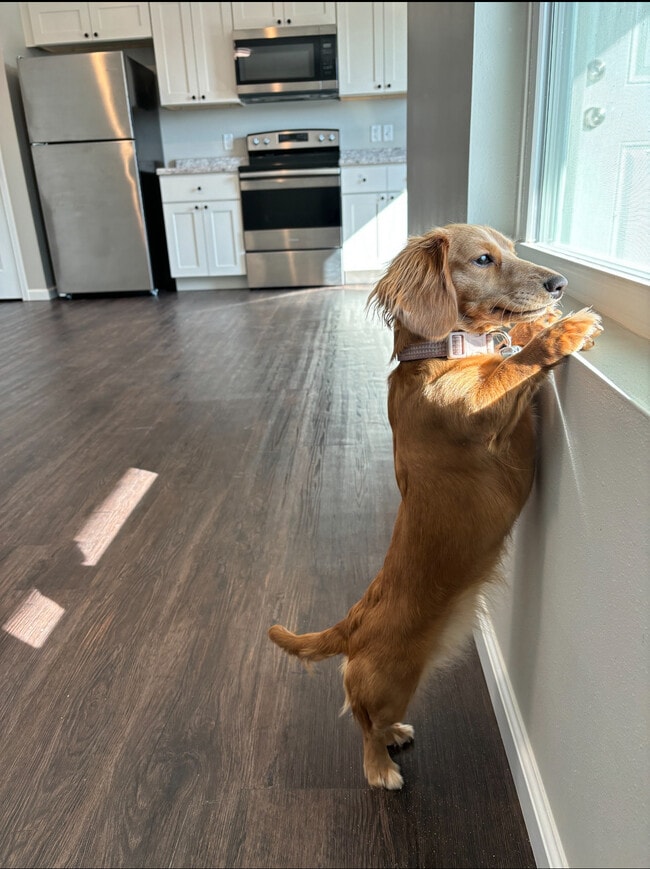 Photo - Lauren's Place