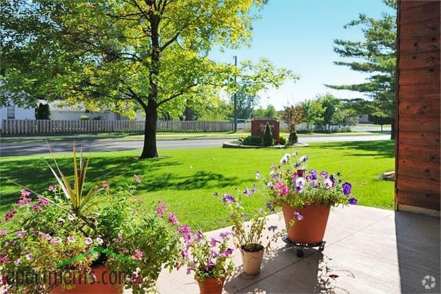 Patio